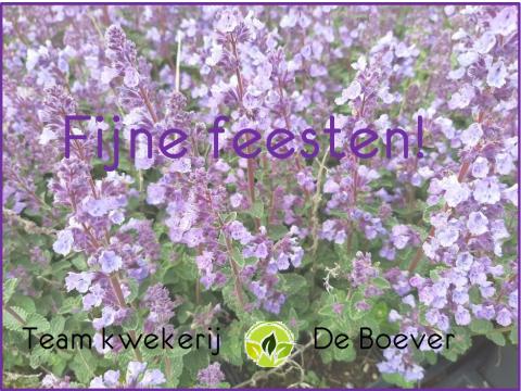 Fijne feesten